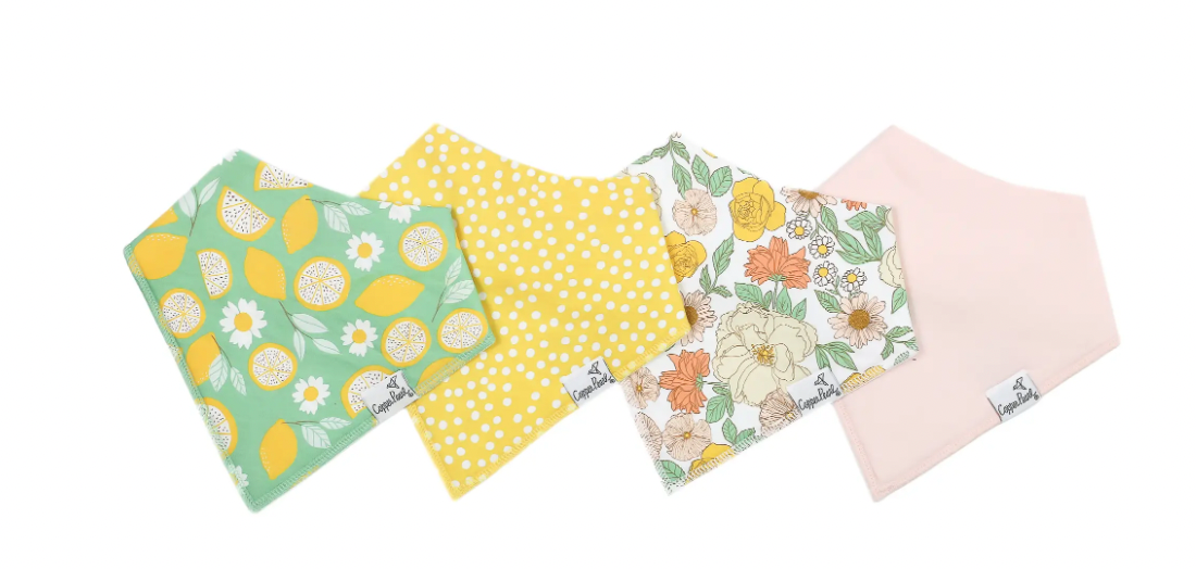 Baby Bandana Bibs