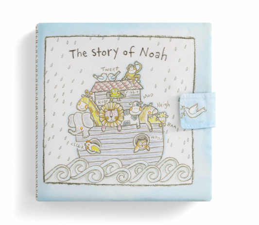 The Story of Noah Soft Book