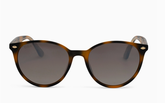 New Dax Sunglasses